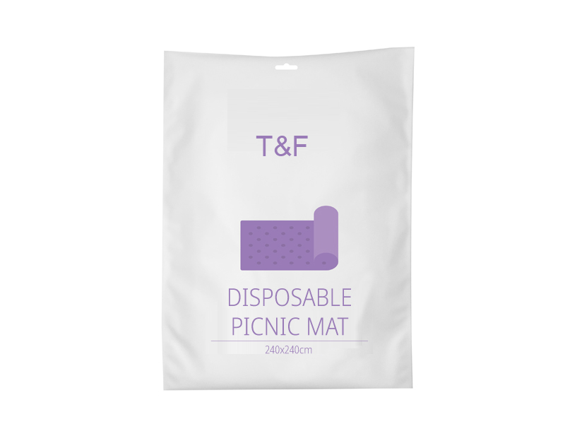 Disposable picnic mat
